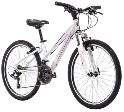 Велосипед Nameless J4000W (2016) J4000-13W