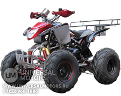 Квадроцикл Bison Raptor 150 Sport