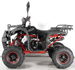 Квадроцикл бензиновый MOTAX ATV Grizlik NEW LUX 125 cc