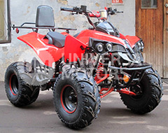 Квадроцикл Bison 125 Super Sport
